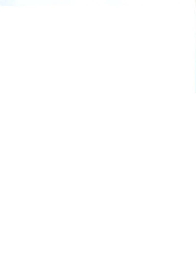 74288347 800 1080 2066